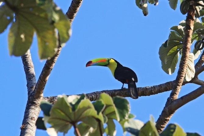 Cabana Itze La Fortuna Esterno foto